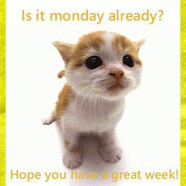 7 Reasons To Love Monday