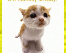 7 Reasons To Love Monday