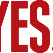 7 Reasons You Said Yes
