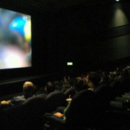 7 Reasons to go to The Cinema