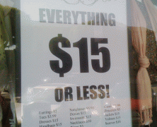 Special Guest Post : 7 Reasons Why I Won’t Write A $15 Blog