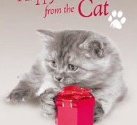 7 Reasons Buying A Christmas Card Is Infuriating