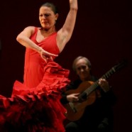 7 Reasons I’m Afraid of Flamenco Dancers