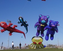 7 Reasons To Fly A Kite