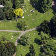 7 Reasons Not to Write in the Park