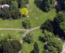 7 Reasons Not to Write in the Park
