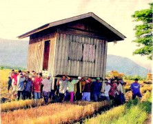 Guest Post: 7 Reasons Not To Move House