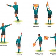7 Reasons to Support The Referee
