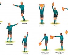 7 Reasons to Support The Referee
