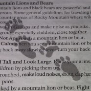 7 Reasons to Ignore “Official” Advice on Mountain Lions and Bears
