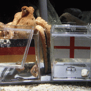 Russian Roulette Sunday: There Is No Such Thing As A Psychic Octopus