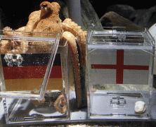 Russian Roulette Sunday: There Is No Such Thing As A Psychic Octopus