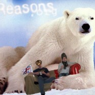 7 Reasons You Shouldn’t Date A Polar Bear