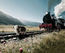 7 Reasons A Cow On The Line Is Not So Bad