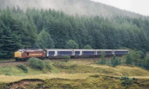 Guest Post:7 Reasons That Travelling By Sleeper Is Great