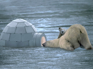 7 ‘Other’ Reasons It Would Have Been A Really Bad Day