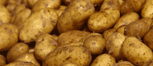 7 Reasons That you Shouldn’t pay £650 for a bag of Potatoes and Some Cardboard