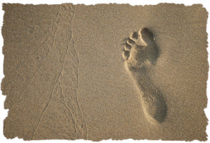 Guest Post: 7 Reasons You Should Reduce Your Carbon Footprint