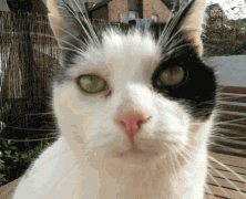 Guest Post: 7 Reasons I am Better Than You