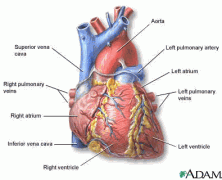 7 Reasons Your Heart Goes Boom (According To Lyricists)