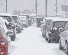 7 Reasons To Embrace Christmas Traffic Jams