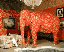 7 Reasons Not To Ignore The Elephant In The Room