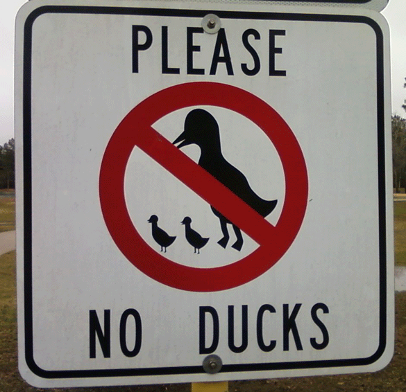 a road sign bearing the words "please no ducks"