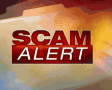 7 Reasons You Need To Improve Your Scamming Technique
