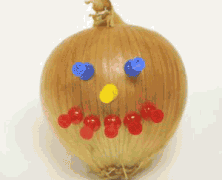 Guest Post: 7 (+1) Reasons An Onion Doesn’t Make A Good House Pet