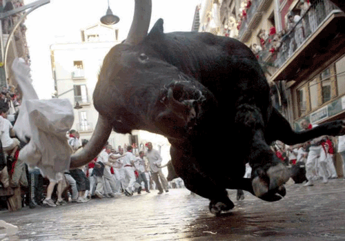 7 Reasons To Let A Bull Loose In The City