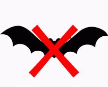 7 Reasons Not To Have A Bat In Your Dining Room