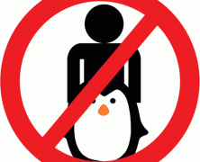 7 Reasons Not To Have Sex With A Penguin