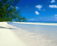7 Reasons To Get A Winter Beach Body