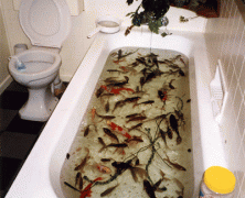 7 Reasons That a Dream Bath is Better Than an Actual Bath