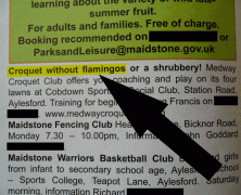7 Reasons To Play Croquet With A Flamingo