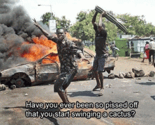 7 Reasons Not To Have An Argument With A Cactus