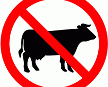 Guest Post: 7 Reasons To Be A Vegetarian