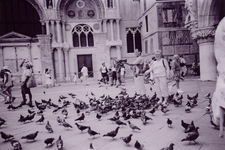 A black and white lomograph of a flock of pigeons in the Piazza San Marco, Venice