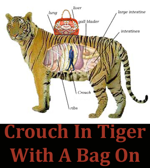 Peter Crouch inside a tiger with a Prada handbag on it