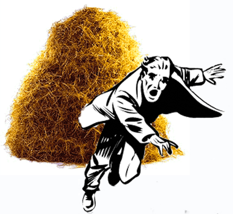 A terrified man fleeing from a haystack.