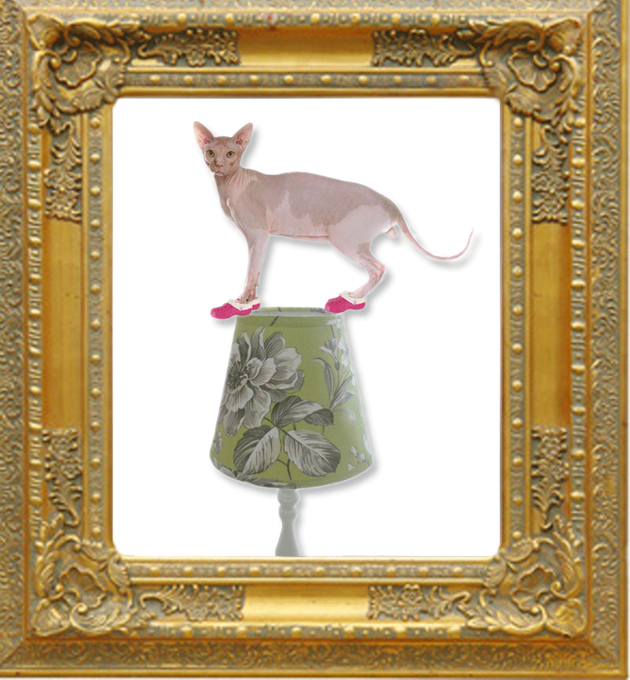 The 2011 Turner prize entry, Stupid Stupid Stupid, a photo montage of a hairless cat wearing pink Crocs balancing on a green lampshade