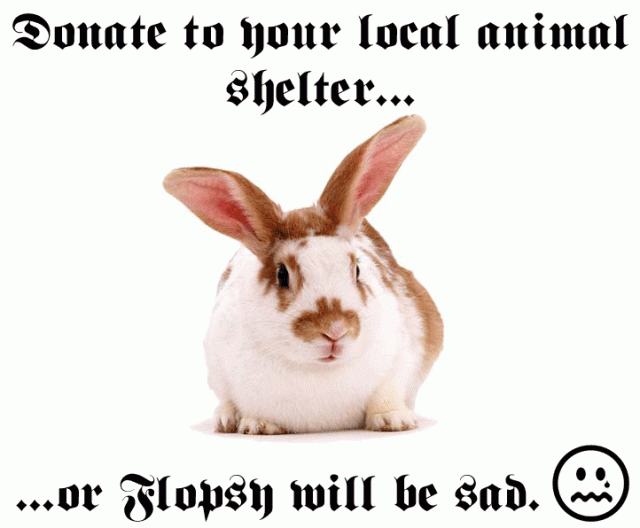 a cute bunny picture poster to raise funds for the animal shelter.  Fraktur font