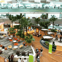 7 Reasons Changi Airport Is An Asian Experience To Remember